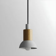Wood and Metal Suspension Design in Various Shapes