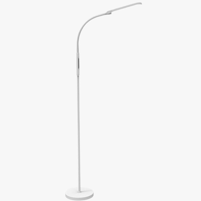 Modern LED Floor Lamp with Touch Switch and Remote Control