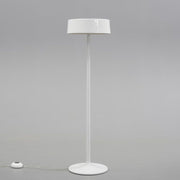 Modern Designer Floor Lamp with Luxurious Shade