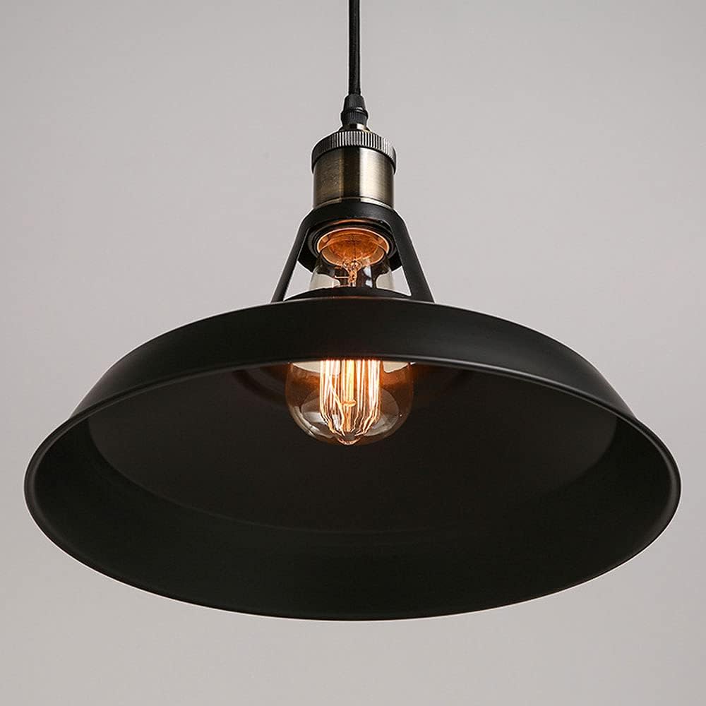 Inna Industrial Pendant Light with Metal Neck