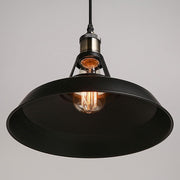 Inna Industrial Pendant Light with Metal Neck