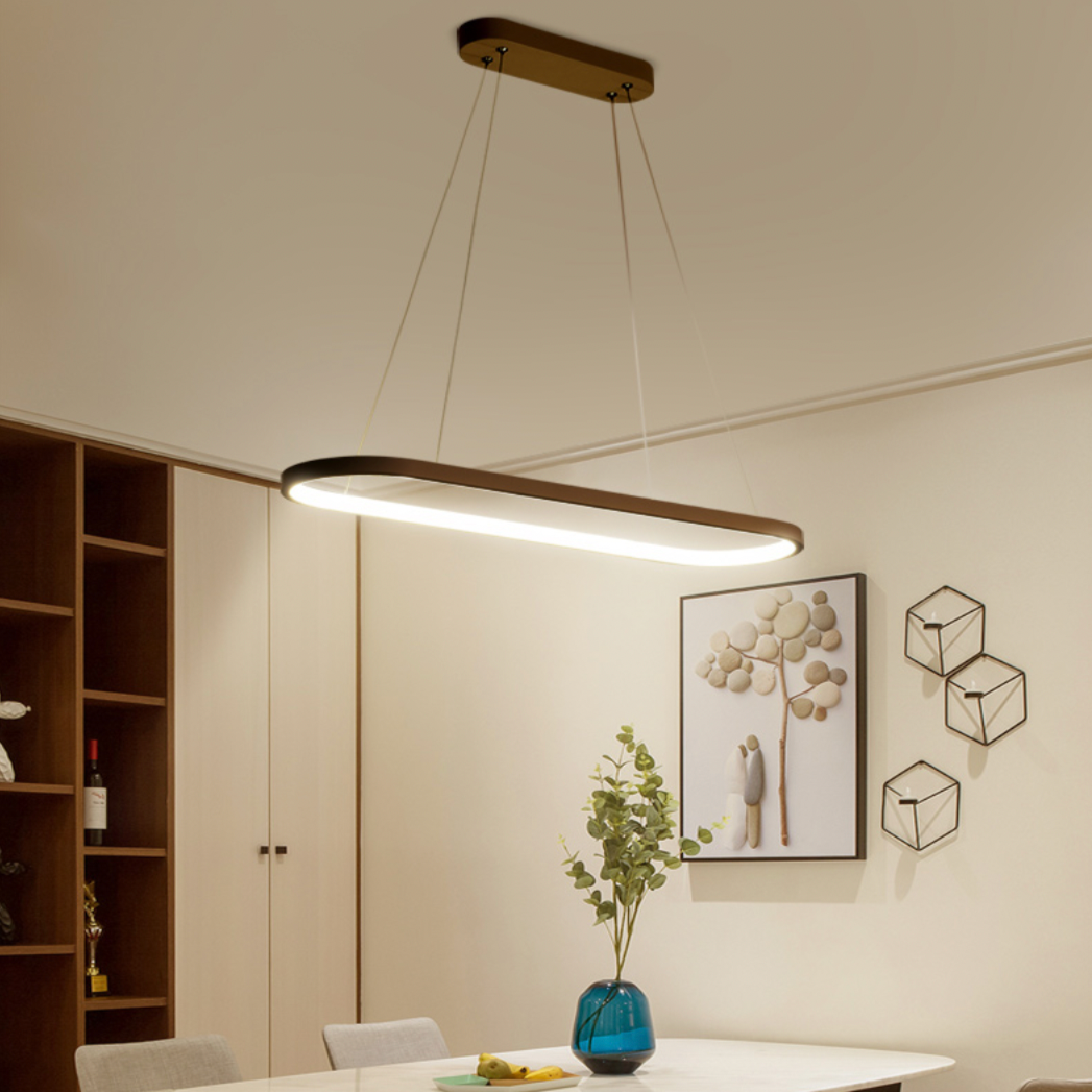 Round Aluminum LED Pendant Light