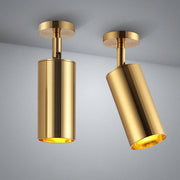 Gold Aluminum LED Spotlight for Modern Interior Lighting