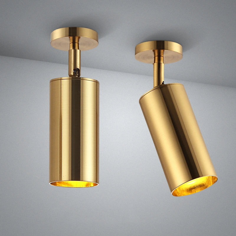 Gold Aluminum LED Spotlight for Modern Interior Lighting