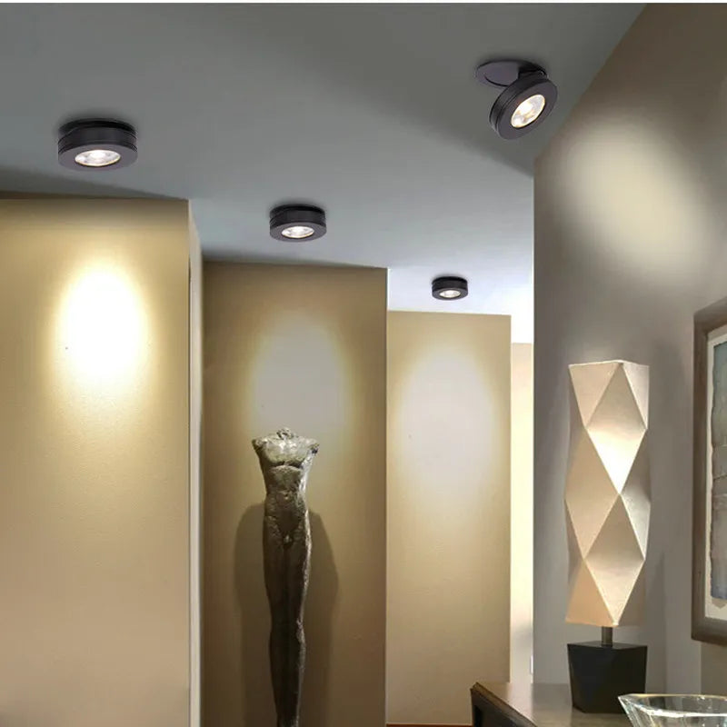 Rotatable Indoor LED Recessed Spot Light