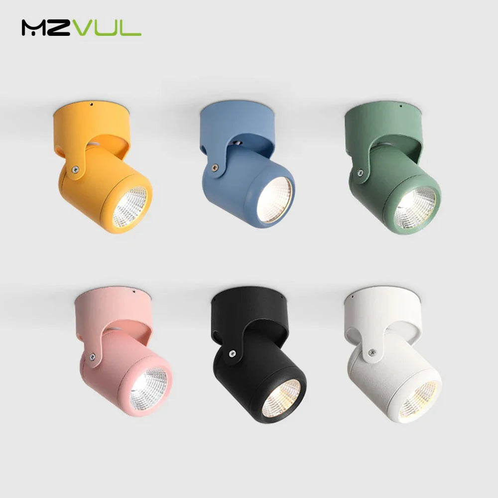 Colorful LED Ceiling Spotlight