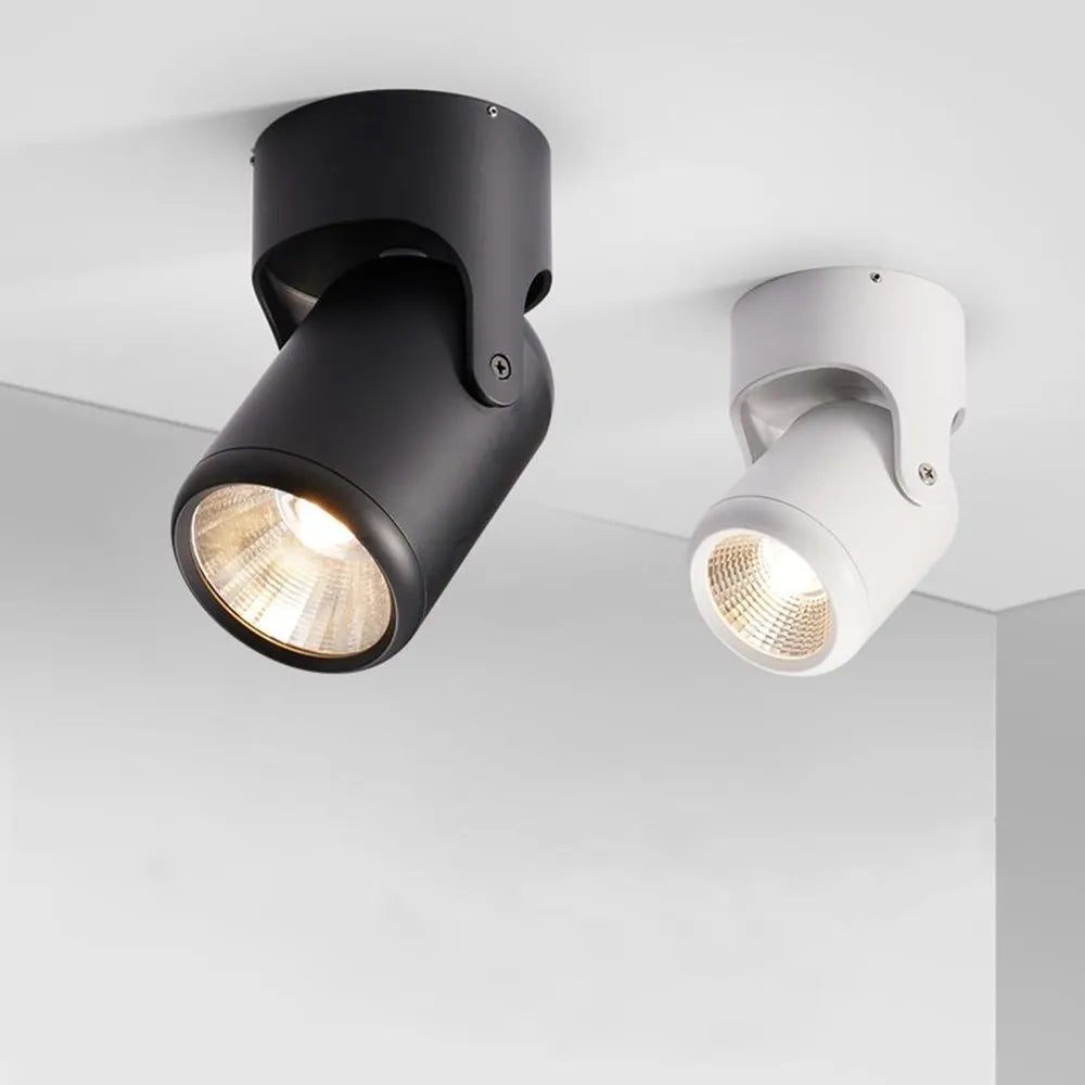 Colorful LED Ceiling Spotlight