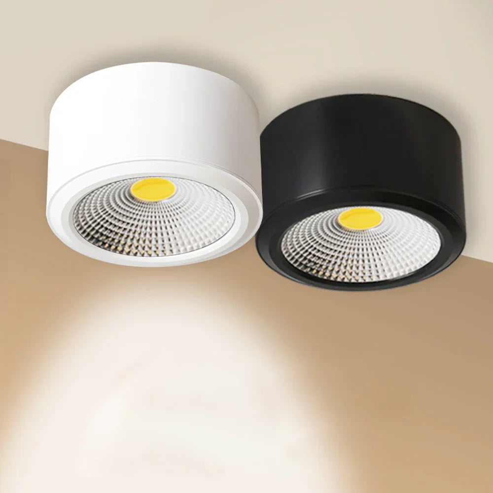 Dimmable LED Surface-Mount Spotlights for Interior Decor