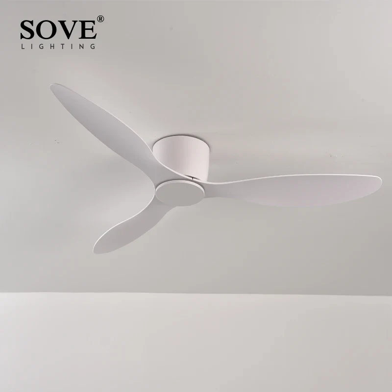 Modern Low-Profile 30W DC Ceiling Fan with Remote Control