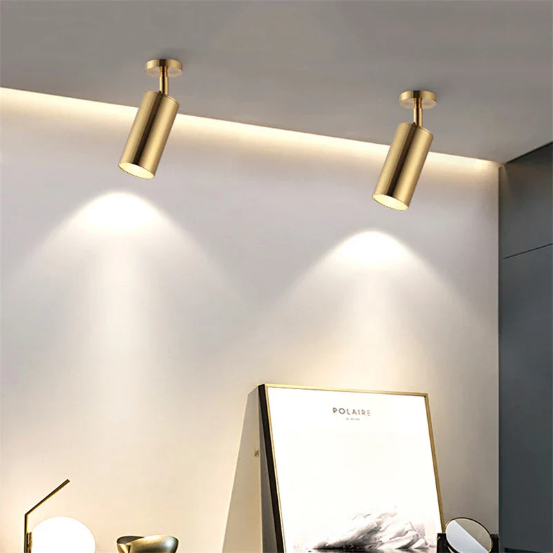 Gold Aluminum LED Spotlight for Modern Interior Lighting