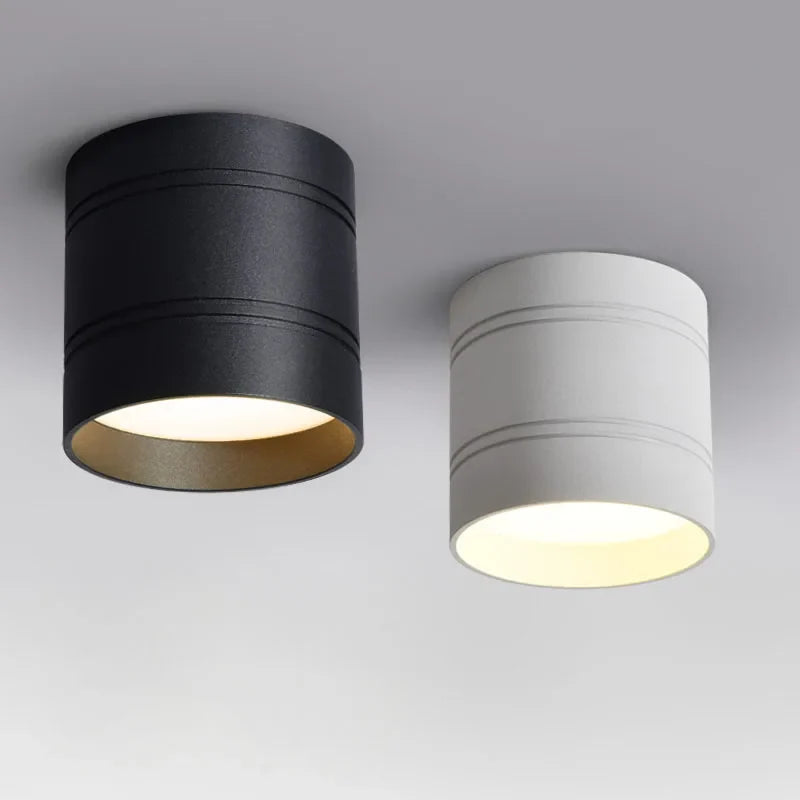 Dimmable COB LED Spotlights 6W-20W for AC110-220V Ceiling Lighting