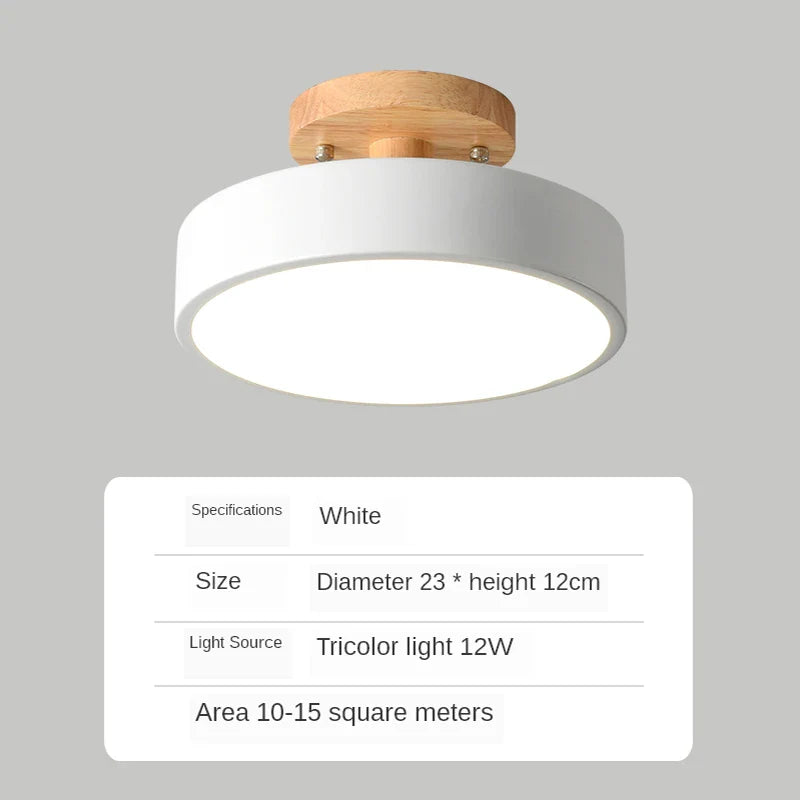 Modern Decorative Indoor LED Ceiling Light