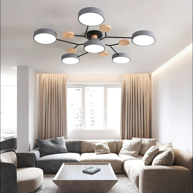 Modern Decorative Indoor LED Ceiling Light