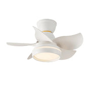 Mini Ceiling Fan with Light and Remote Control