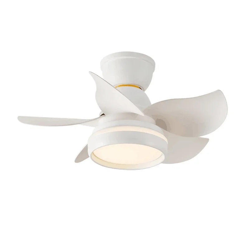 Mini Ceiling Fan with Light and Remote Control