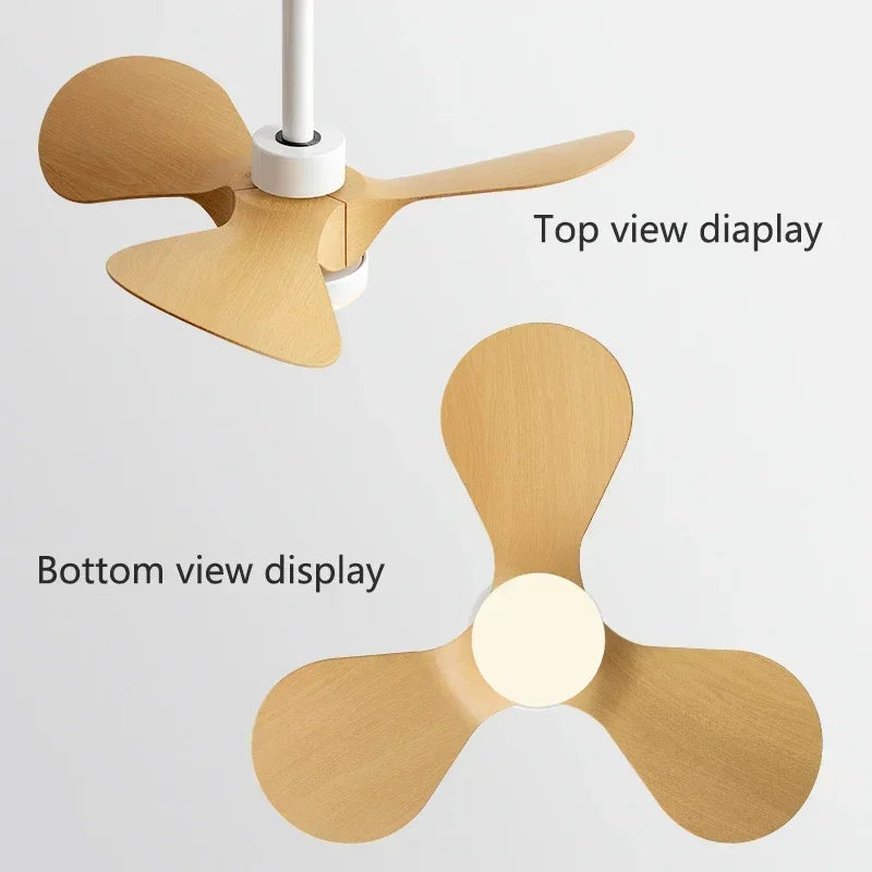 Modern Mini Ceiling Fan with Lights for Kids