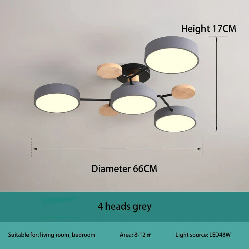 Modern Decorative Indoor LED Ceiling Light