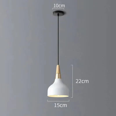 Modern LED Pendant Light with Colorful Metal Shade