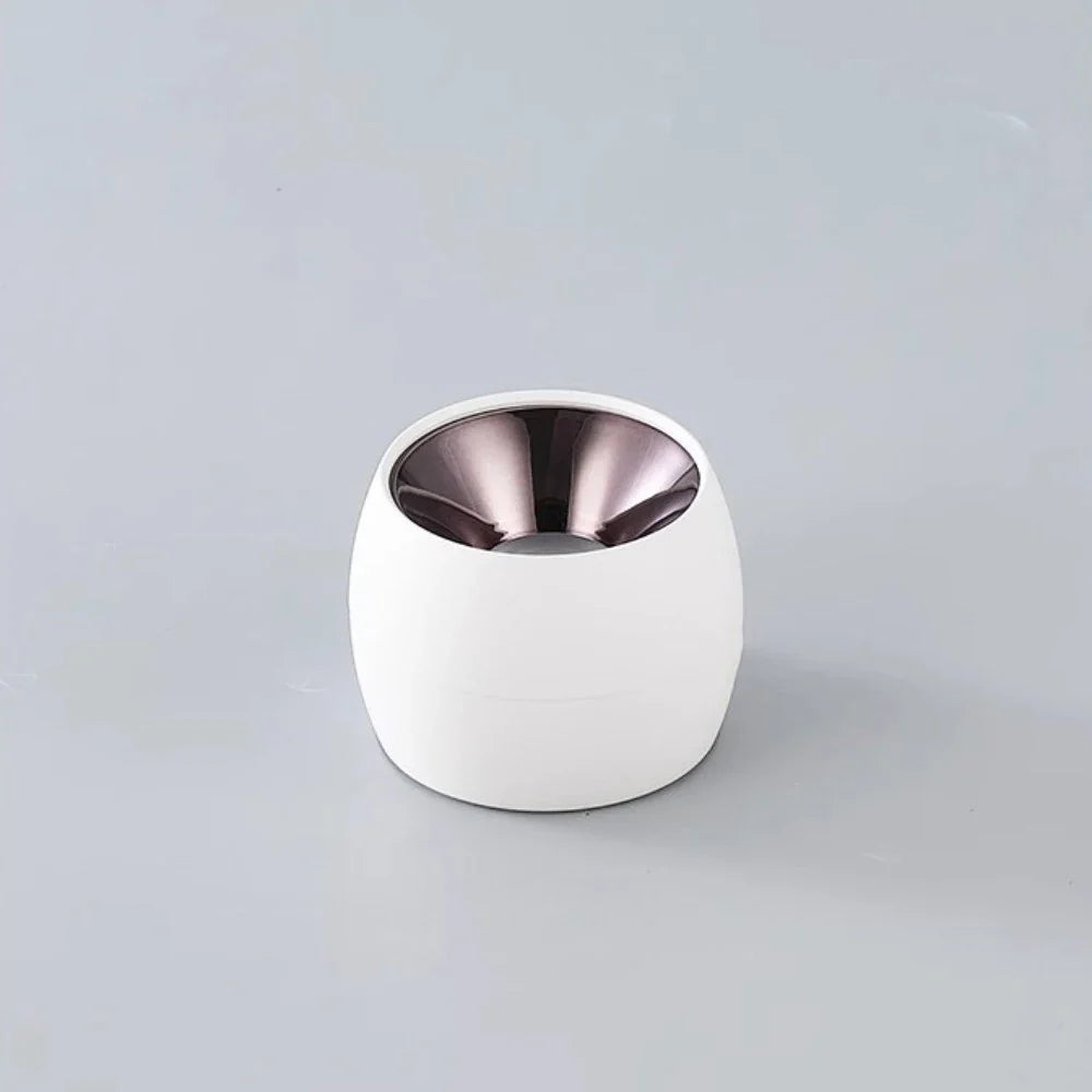 Mini COB LED Ceiling Spot Light for Home Decor