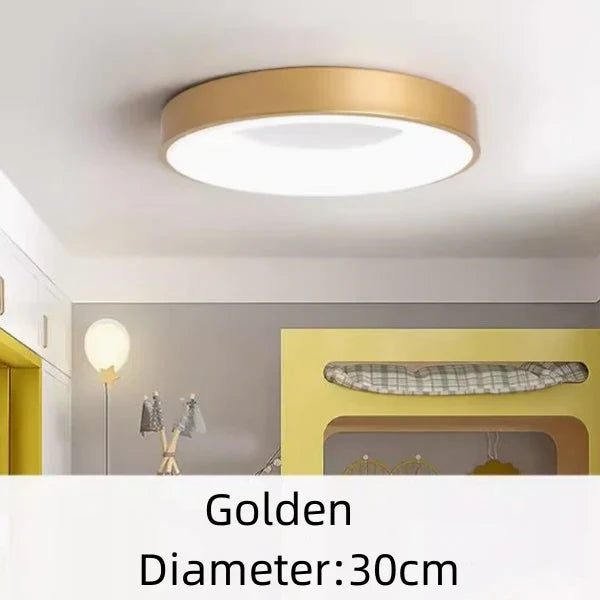 Versatile Round Ceiling Light for Indoor and Outdoor Use