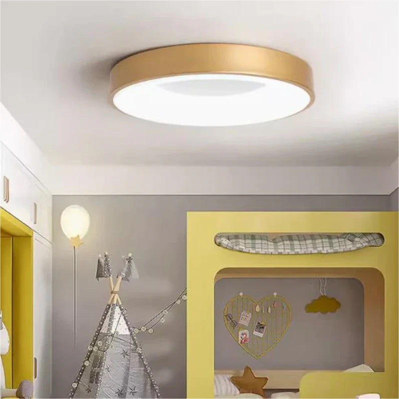 Versatile Round Ceiling Light for Indoor and Outdoor Use