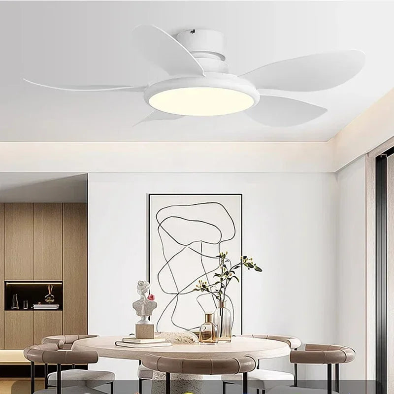 Simple Ceiling Fan with LED Light and Remote Control