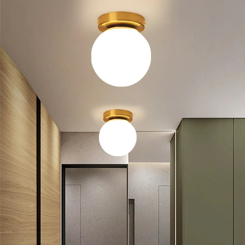 Round Frosted Glass Ceiling Light Fixture