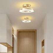 Modern LED Ceiling Light Fixture for Home Interior Decoration