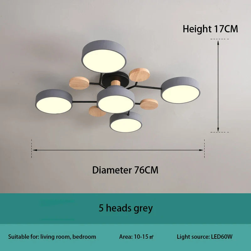 Modern Decorative Indoor LED Ceiling Light
