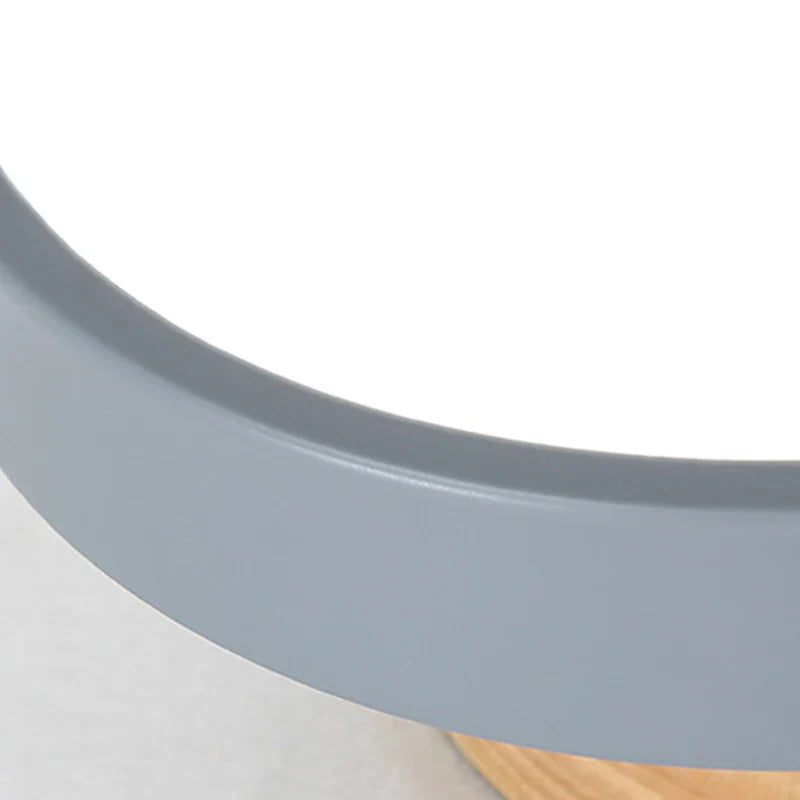 Modern Decorative Indoor LED Ceiling Light