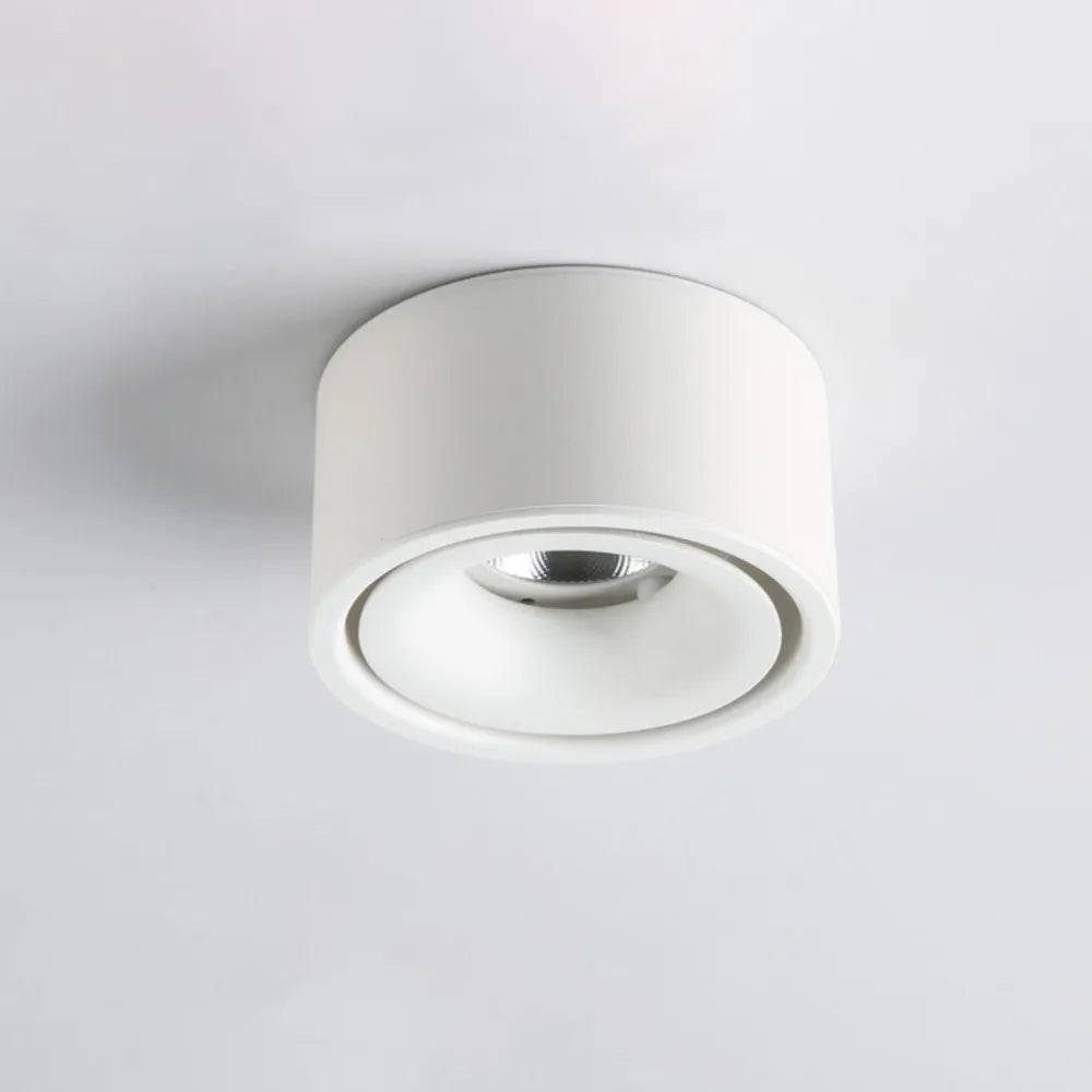 Surface Mount LED Spotlight with Anti-Glare Design