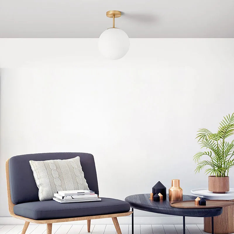 Round Frosted Glass Ceiling Light Fixture