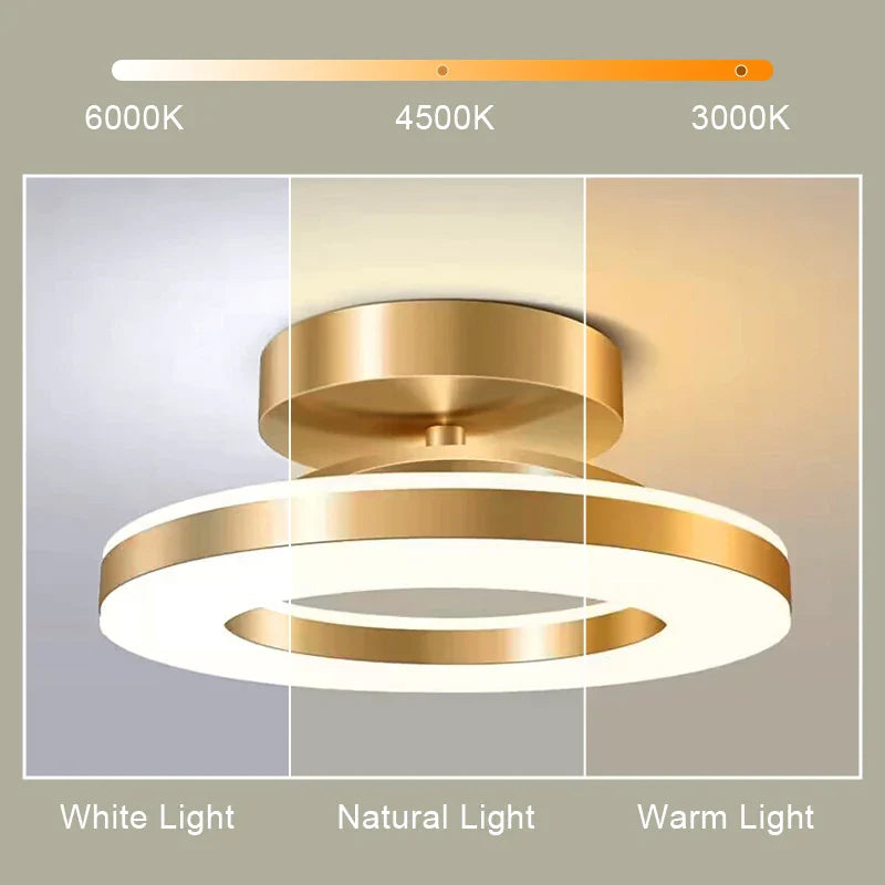 Modern LED Ceiling Light Fixture for Home Interior Decoration