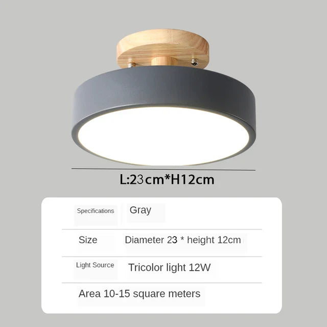Modern Decorative Indoor LED Ceiling Light