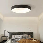 Versatile Round Ceiling Light for Indoor and Outdoor Use