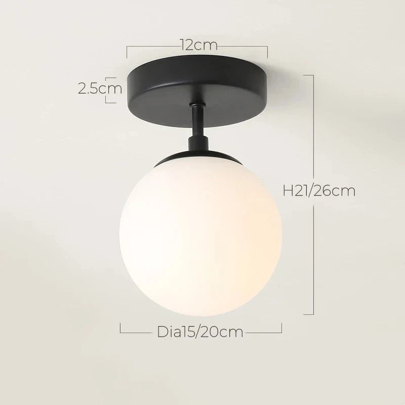 Round Frosted Glass Ceiling Light Fixture