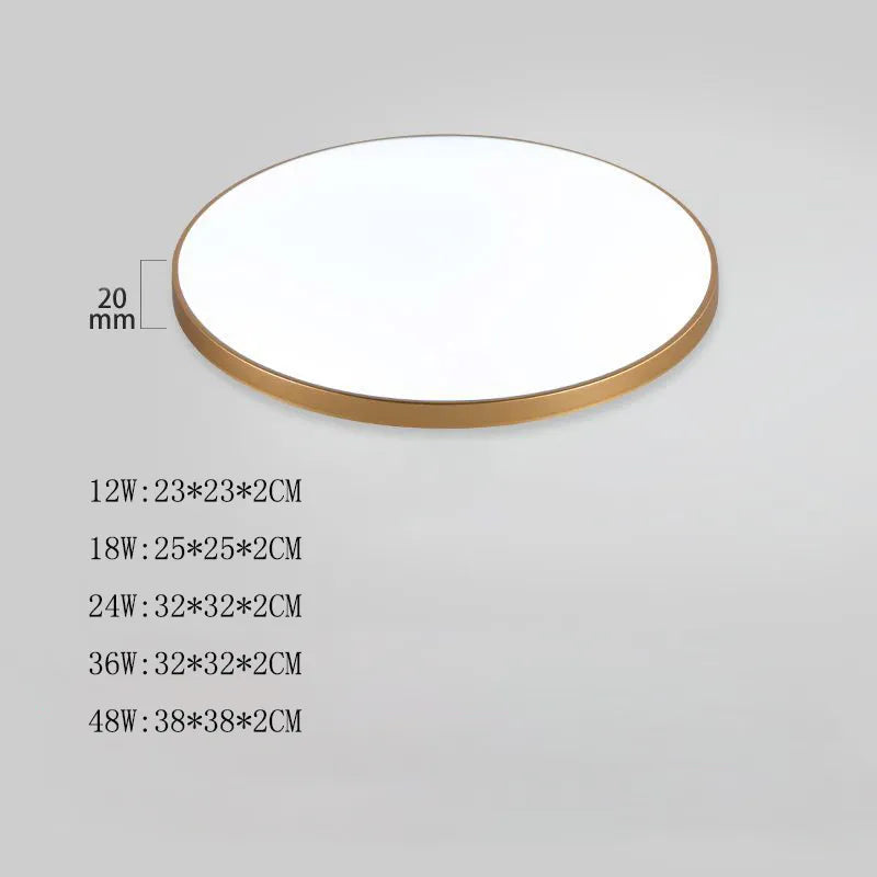 Modern LED Ceiling Light Fixture 48W 36W 24W for Bedroom, Kitchen, Bathroom, Dining Room