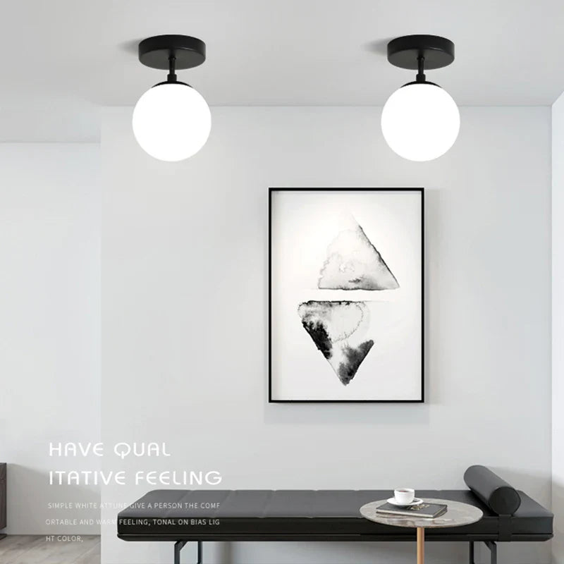Round Frosted Glass Ceiling Light Fixture