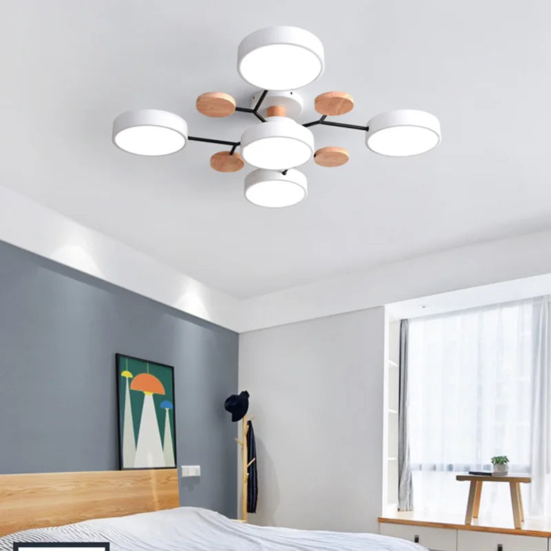Modern Decorative Indoor LED Ceiling Light