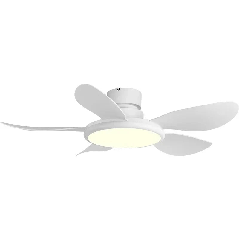 Simple Ceiling Fan with LED Light and Remote Control
