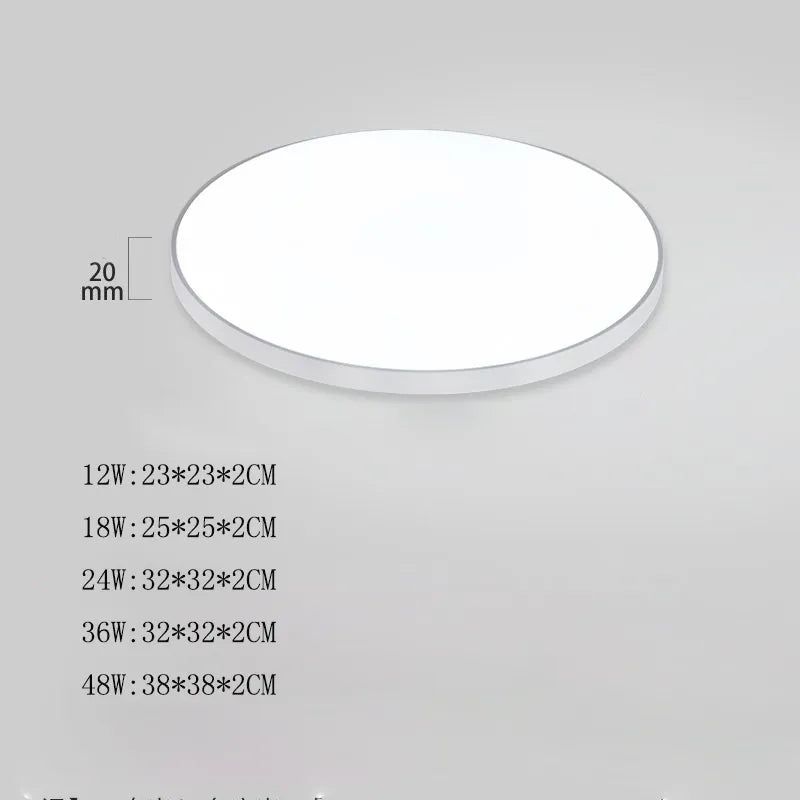 Modern LED Ceiling Light Fixture 48W 36W 24W for Bedroom, Kitchen, Bathroom, Dining Room