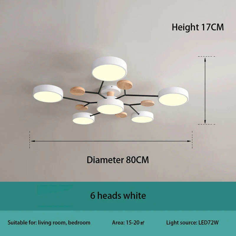 Modern Decorative Indoor LED Ceiling Light
