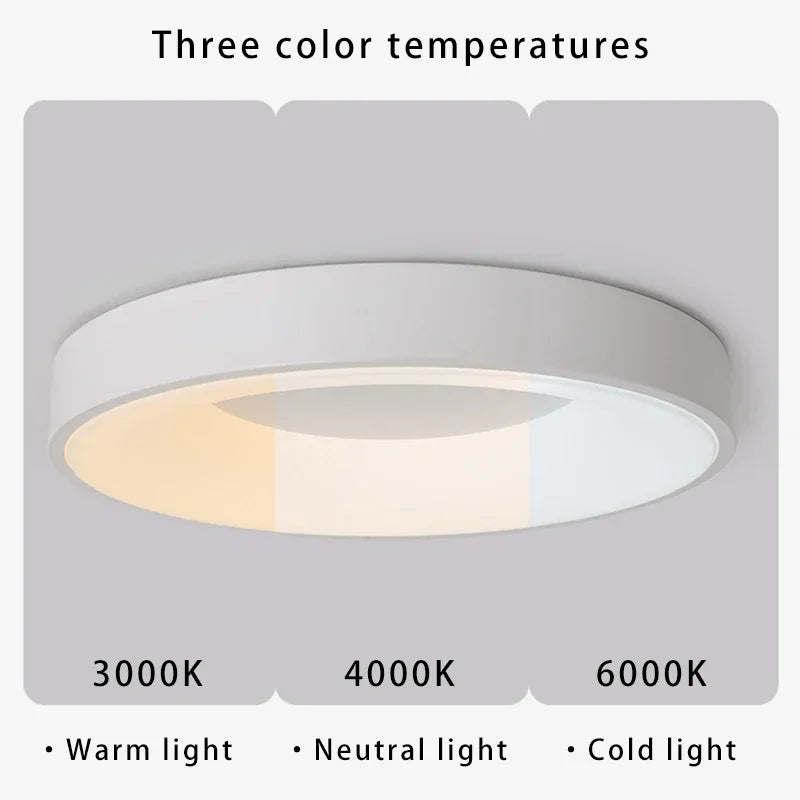 Modern Nordic Simple Circular LED Ceiling Light