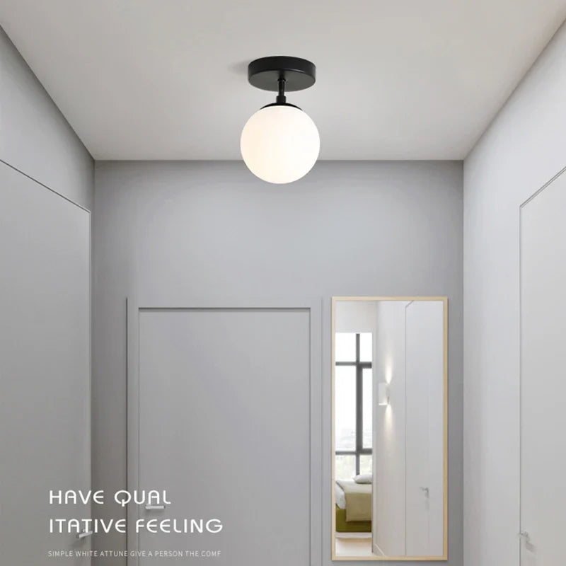 Round Frosted Glass Ceiling Light Fixture