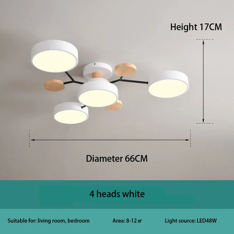 Modern Decorative Indoor LED Ceiling Light