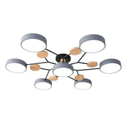 Modern Decorative Indoor LED Ceiling Light