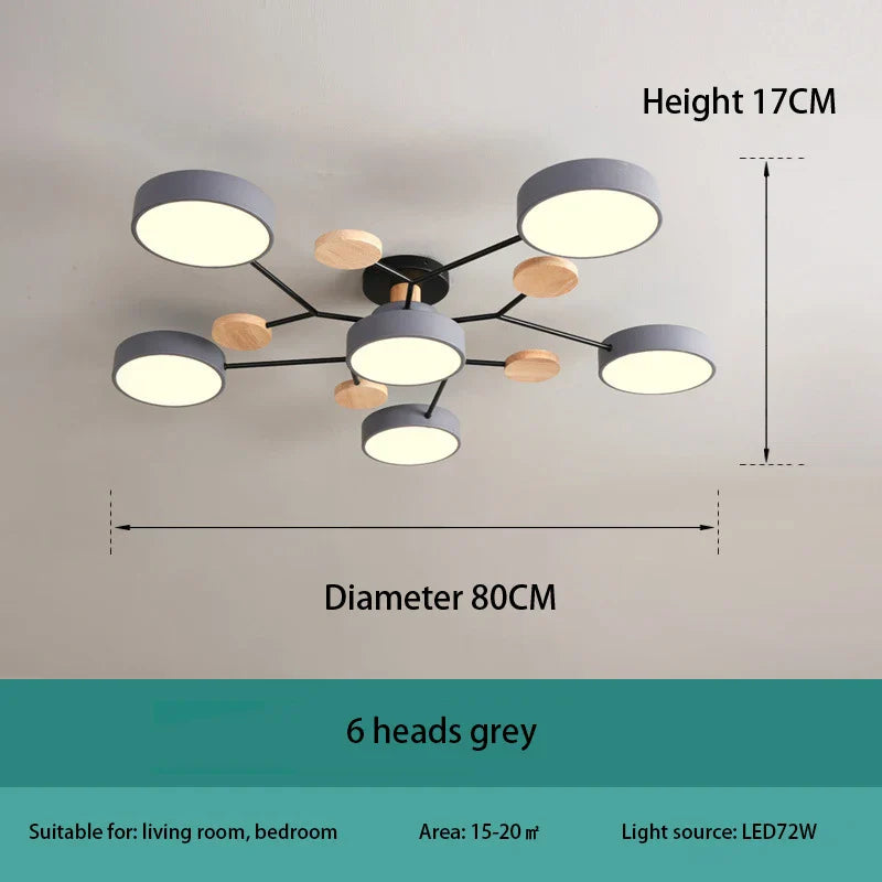 Modern Decorative Indoor LED Ceiling Light