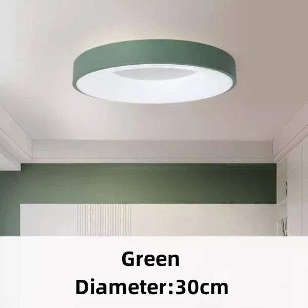 Versatile Round Ceiling Light for Indoor and Outdoor Use