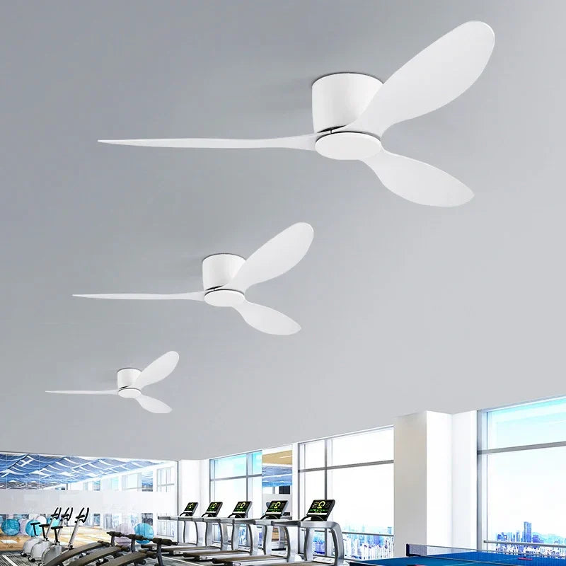 Simple Modern Ceiling Fans with Remote Control - No Light