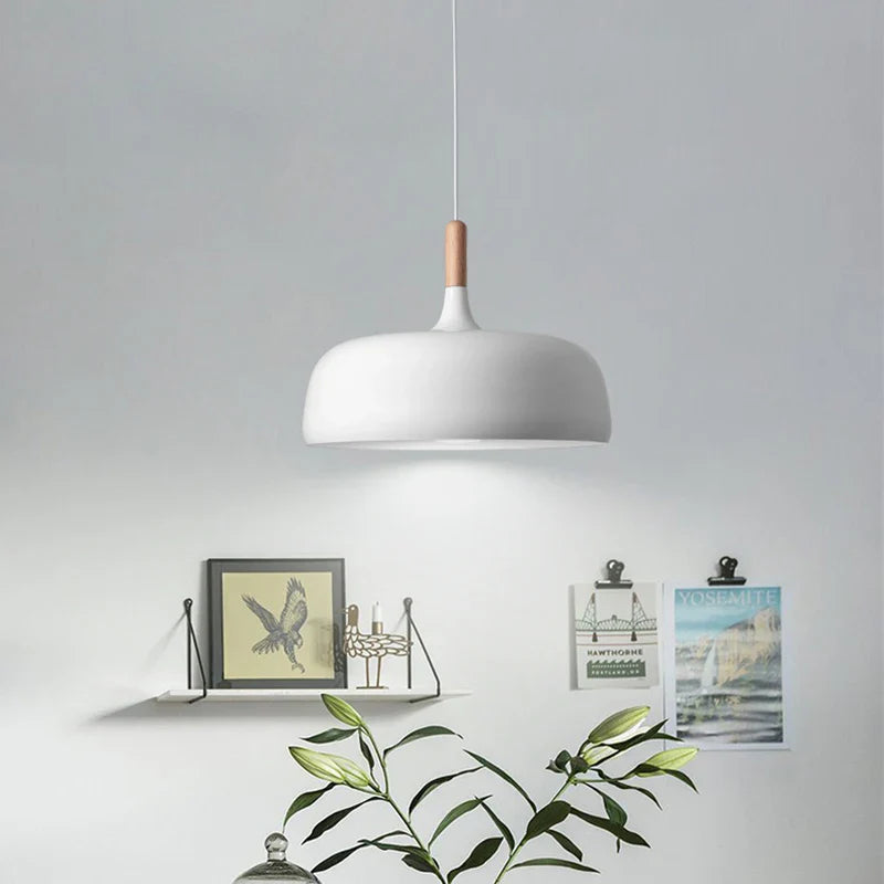 Modern Colorful Pendant Light